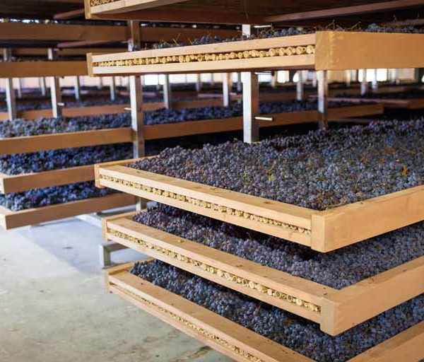 Why Product Drying Services on Rent Are the Smart Choice for Industrial Moisture Control Projects