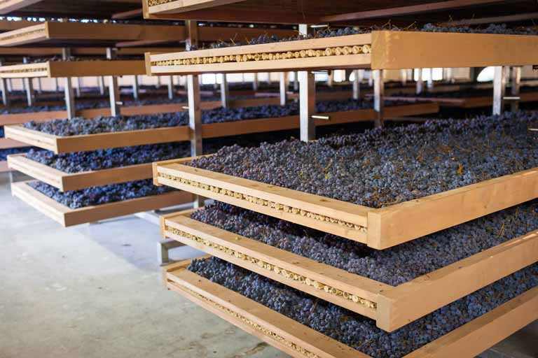 Why Product Drying Services on Rent Are the Smart Choice for Industrial Moisture Control Projects